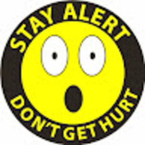 Meet your Posher, Charles